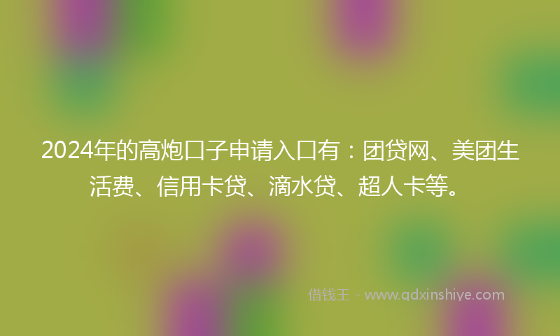 2024年的高炮口子申请入口有：团贷网、美团生活费、信用卡贷、滴水贷、超人卡等。