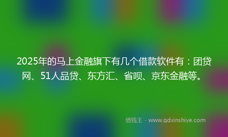 2025年的马上金融旗下有几个借款软件有：团贷网、51人品贷、东方汇、省呗、京东金融等。