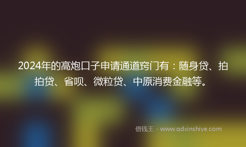 2024年的高炮口子申请通道窍门有：随身贷、拍拍贷、省呗、微粒贷、中原消费金融等。