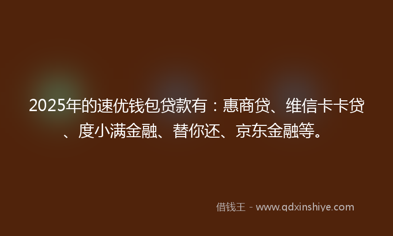 2025年的速优钱包贷款有：惠商贷、维信卡卡贷、度小满金融、替你还、京东金融等。