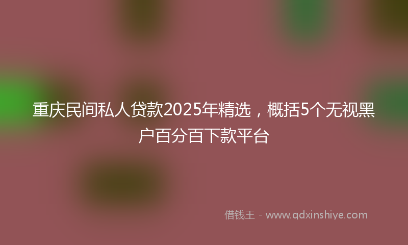 重庆民间私人贷款2025年精选，概括5个无视黑户百分百下款平台