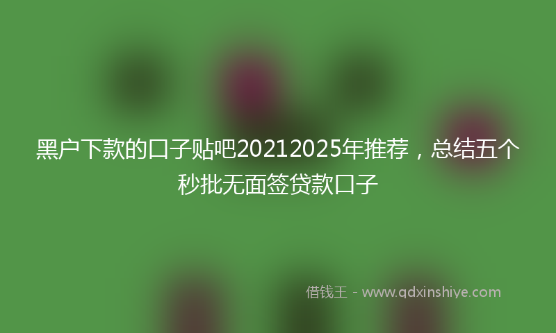 黑户下款的口子贴吧20212025年推荐，总结五个秒批无面签贷款口子