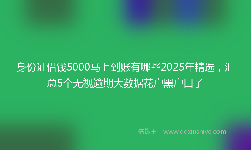 身份证借钱5000马上到账有哪些2025年精选，汇总5个无视逾期大数据花户黑户口子