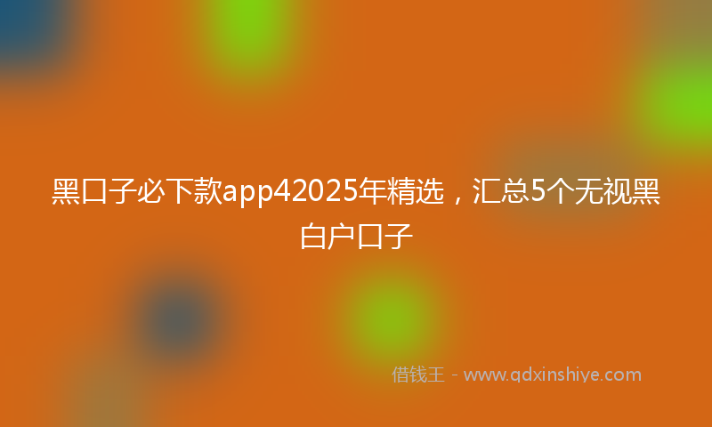黑口子必下款app42025年精选，汇总5个无视黑白户口子