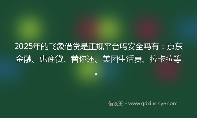 2025年的飞象借贷是正规平台吗安全吗有：京东金融、惠商贷、替你还、美团生活费、拉卡拉等。