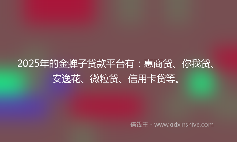 2025年的金蝉子贷款平台有：惠商贷、你我贷、安逸花、微粒贷、信用卡贷等。