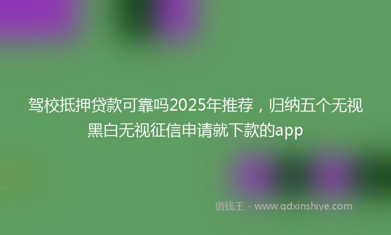 驾校抵押贷款可靠吗2025年推荐，归纳五个无视黑白无视征信申请就下款的app
