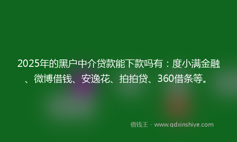 2025年的黑户中介贷款能下款吗有：度小满金融、微博借钱、安逸花、拍拍贷、360借条等。