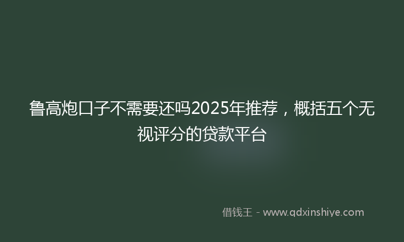 鲁高炮口子不需要还吗2025年推荐，概括五个无视评分的贷款平台