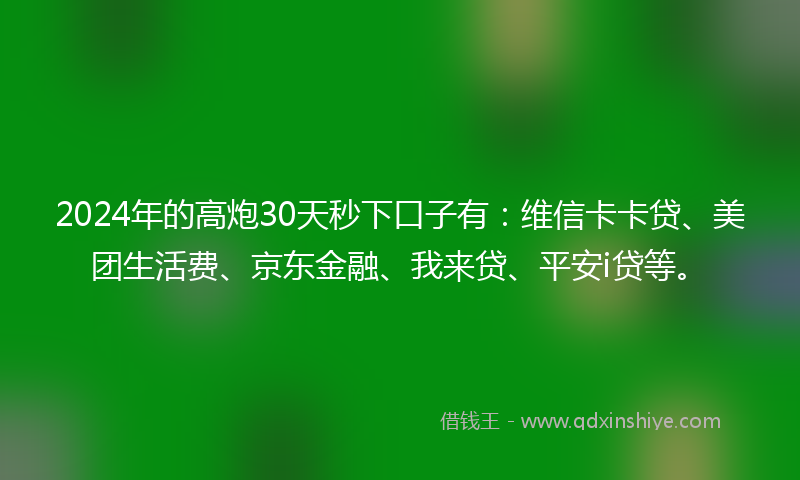 2024年的高炮30天秒下口子有：维信卡卡贷、美团生活费、京东金融、我来贷、平安i贷等。