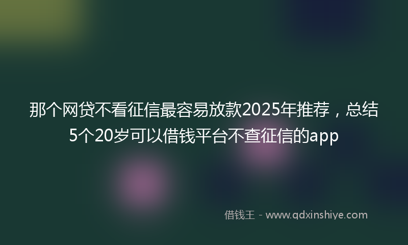 那个网贷不看征信最容易放款2025年推荐，总结5个20岁可以借钱平台不查征信的app