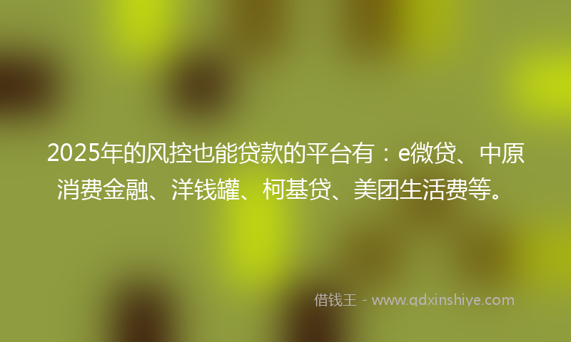 2025年的风控也能贷款的平台有：e微贷、中原消费金融、洋钱罐、柯基贷、美团生活费等。