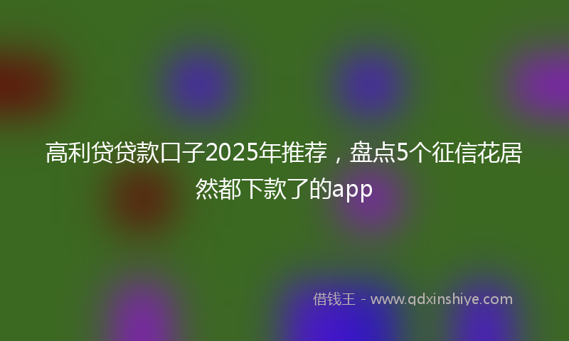高利贷贷款口子2025年推荐，盘点5个征信花居然都下款了的app