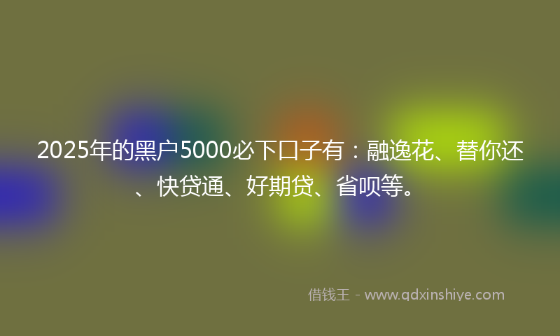 2025年的黑户5000必下口子有：融逸花、替你还、快贷通、好期贷、省呗等。
