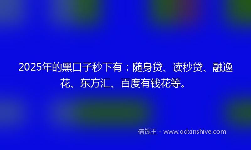 2025年的黑口子秒下有：随身贷、读秒贷、融逸花、东方汇、百度有钱花等。