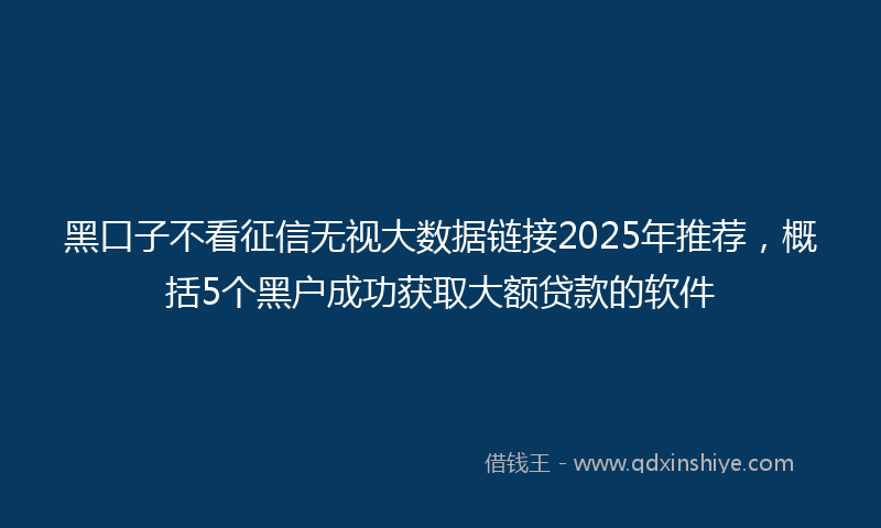 黑口子不看征信无视大数据链接2025年推荐，概括5个黑户成功获取大额贷款的软件