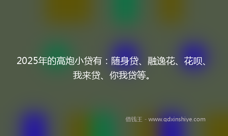2025年的高炮小贷有：随身贷、融逸花、花呗、我来贷、你我贷等。