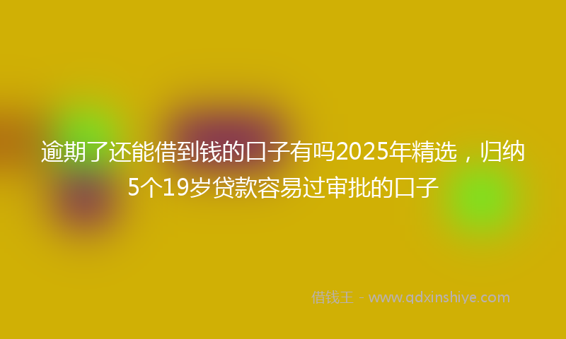 逾期了还能借到钱的口子有吗2025年精选，归纳5个19岁贷款容易过审批的口子