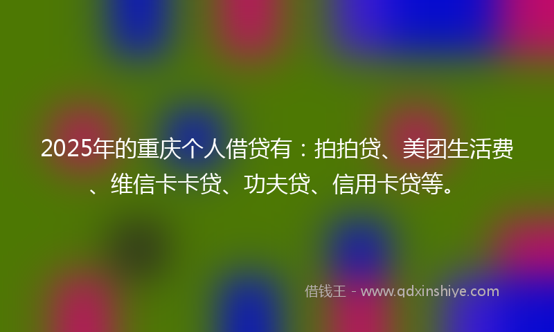 2025年的重庆个人借贷有：拍拍贷、美团生活费、维信卡卡贷、功夫贷、信用卡贷等。