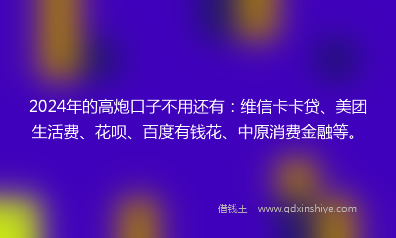 2024年的高炮口子不用还有：维信卡卡贷、美团生活费、花呗、百度有钱花、中原消费金融等。