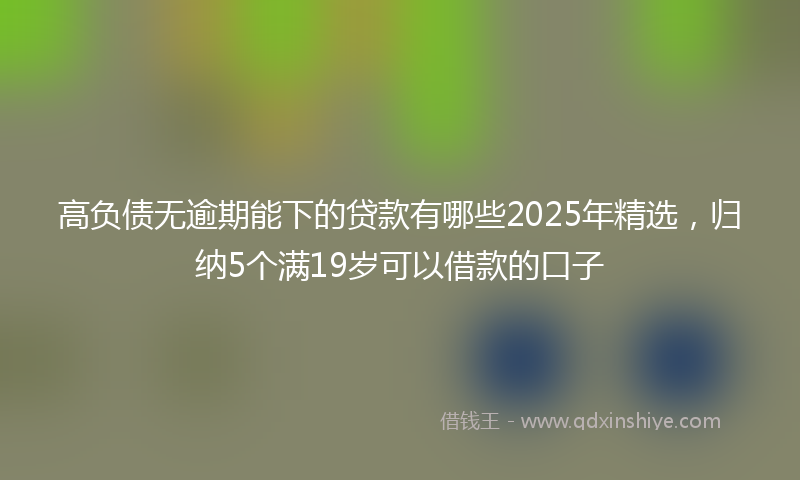 高负债无逾期能下的贷款有哪些2025年精选，归纳5个满19岁可以借款的口子