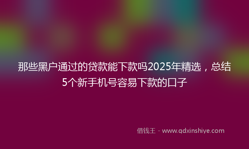 那些黑户通过的贷款能下款吗2025年精选，总结5个新手机号容易下款的口子