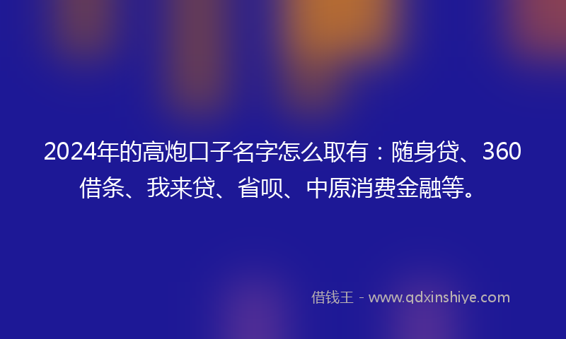 2024年的高炮口子名字怎么取有：随身贷、360借条、我来贷、省呗、中原消费金融等。