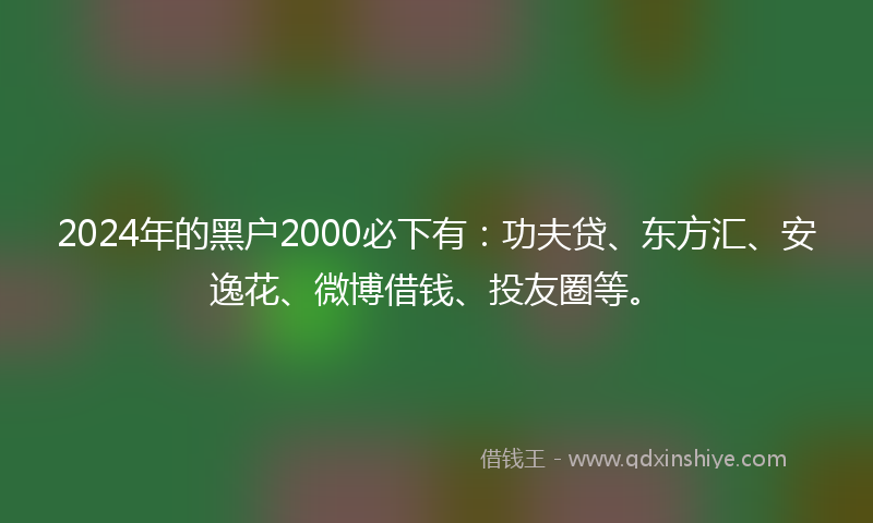 2024年的黑户2000必下有：功夫贷、东方汇、安逸花、微博借钱、投友圈等。