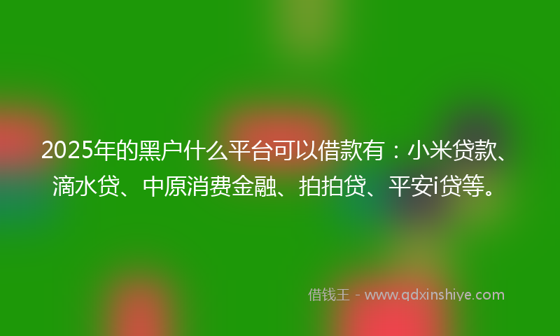 2025年的黑户什么平台可以借款有：小米贷款、滴水贷、中原消费金融、拍拍贷、平安i贷等。