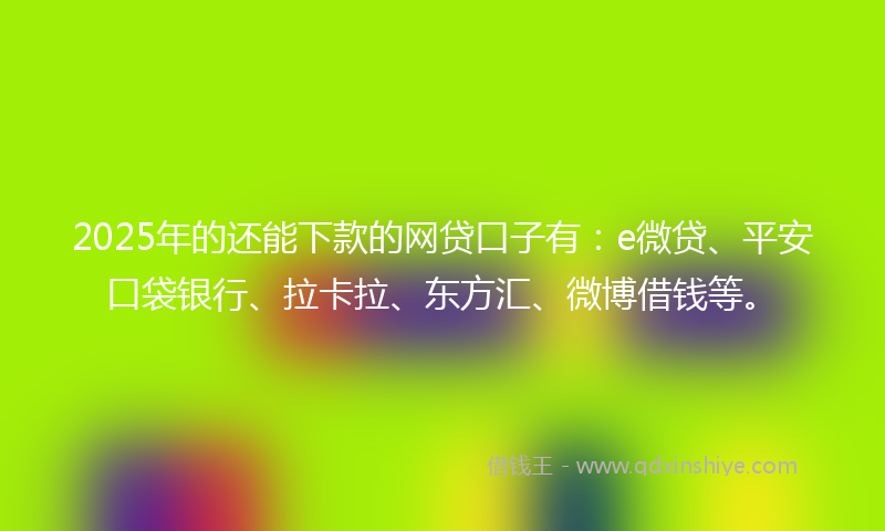 2025年的还能下款的网贷口子有：e微贷、平安口袋银行、拉卡拉、东方汇、微博借钱等。