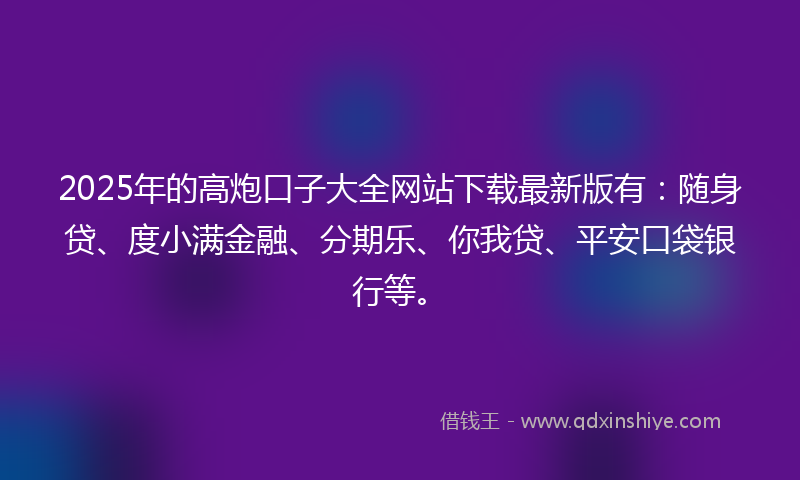 2025年的高炮口子大全网站下载最新版有：随身贷、度小满金融、分期乐、你我贷、平安口袋银行等。