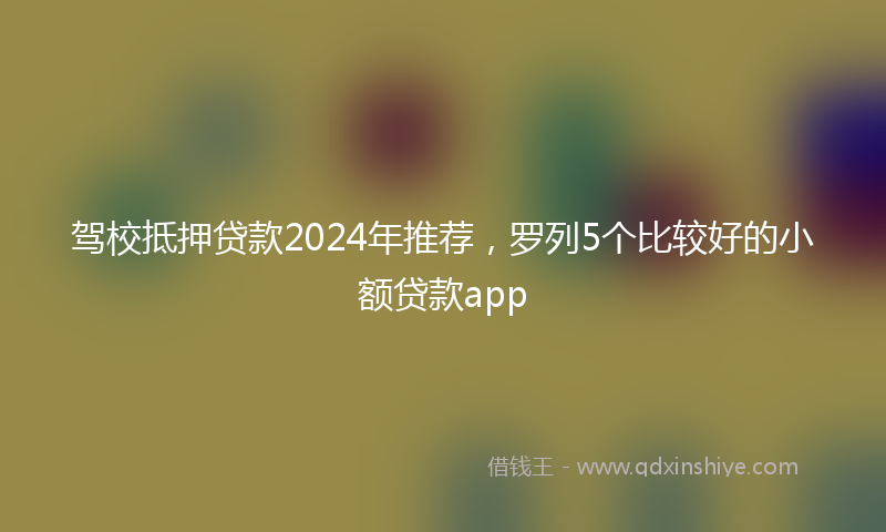 驾校抵押贷款2024年推荐，罗列5个比较好的小额贷款app
