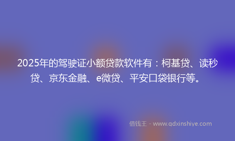 2025年的驾驶证小额贷款软件有：柯基贷、读秒贷、京东金融、e微贷、平安口袋银行等。