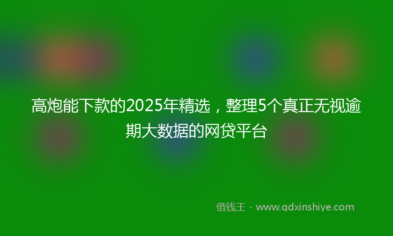高炮能下款的2025年精选，整理5个真正无视逾期大数据的网贷平台
