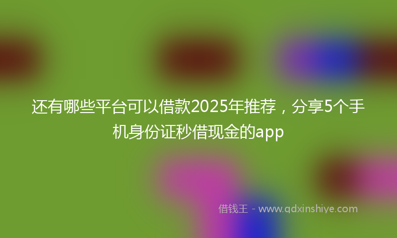 还有哪些平台可以借款2025年推荐，分享5个手机身份证秒借现金的app