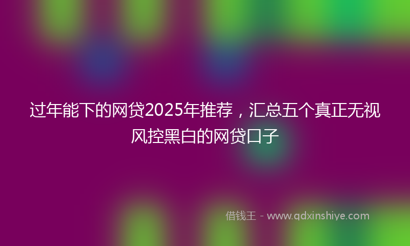 过年能下的网贷2025年推荐，汇总五个真正无视风控黑白的网贷口子