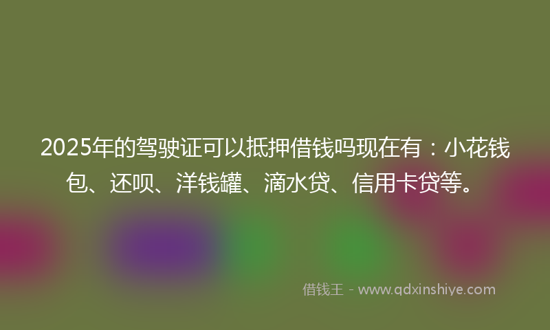 2025年的驾驶证可以抵押借钱吗现在有：小花钱包、还呗、洋钱罐、滴水贷、信用卡贷等。