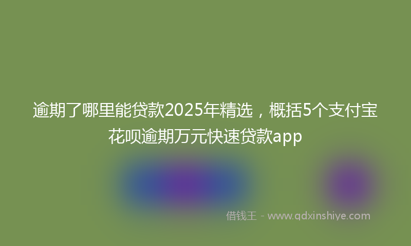 逾期了哪里能贷款2025年精选，概括5个支付宝花呗逾期万元快速贷款app