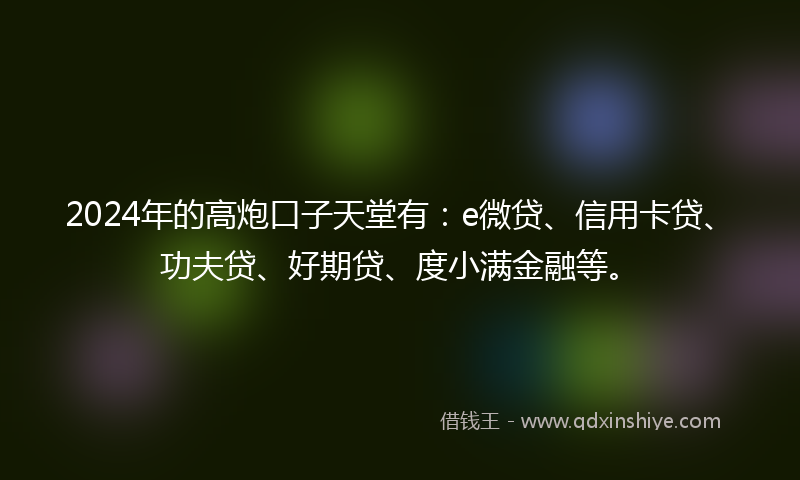 2024年的高炮口子天堂有：e微贷、信用卡贷、功夫贷、好期贷、度小满金融等。