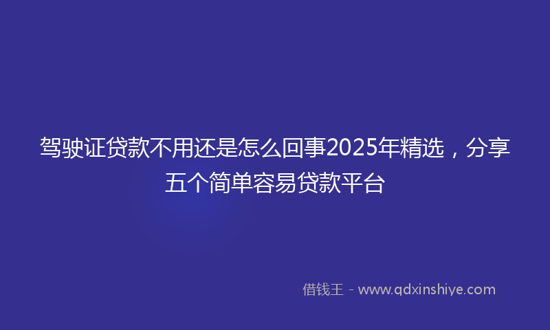 驾驶证贷款不用还是怎么回事2025年精选，分享五个简单容易贷款平台