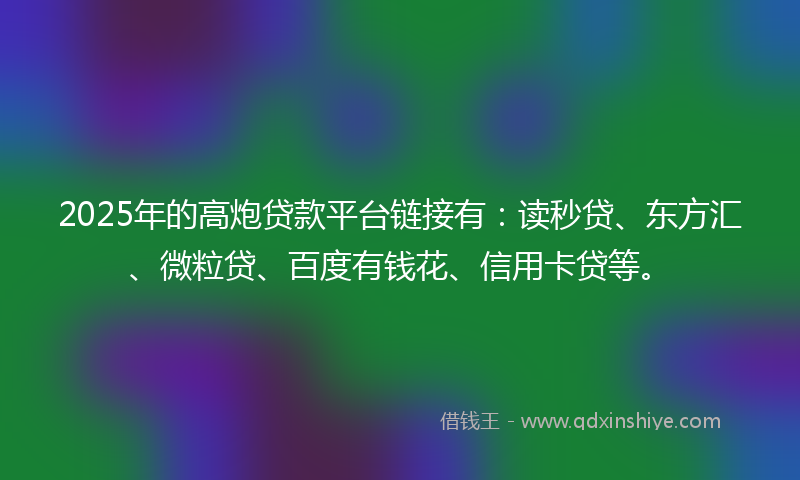 2025年的高炮贷款平台链接有：读秒贷、东方汇、微粒贷、百度有钱花、信用卡贷等。