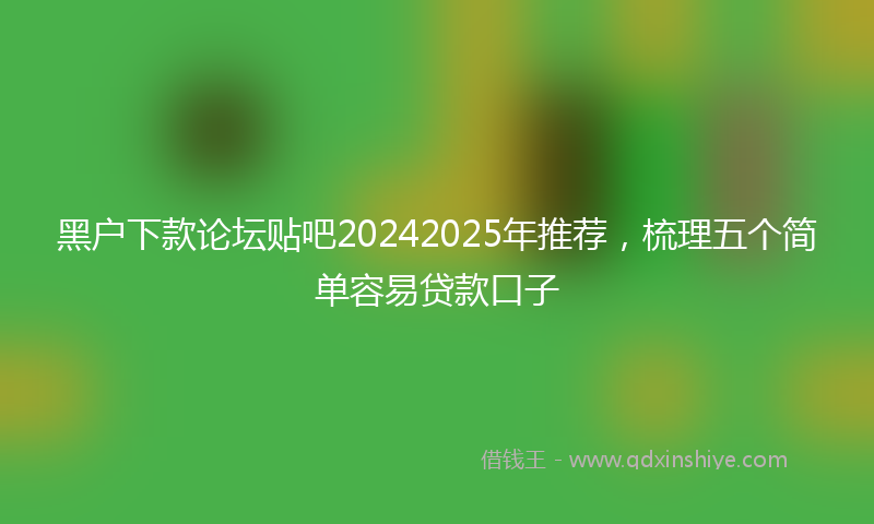 黑户下款论坛贴吧20242025年推荐，梳理五个简单容易贷款口子