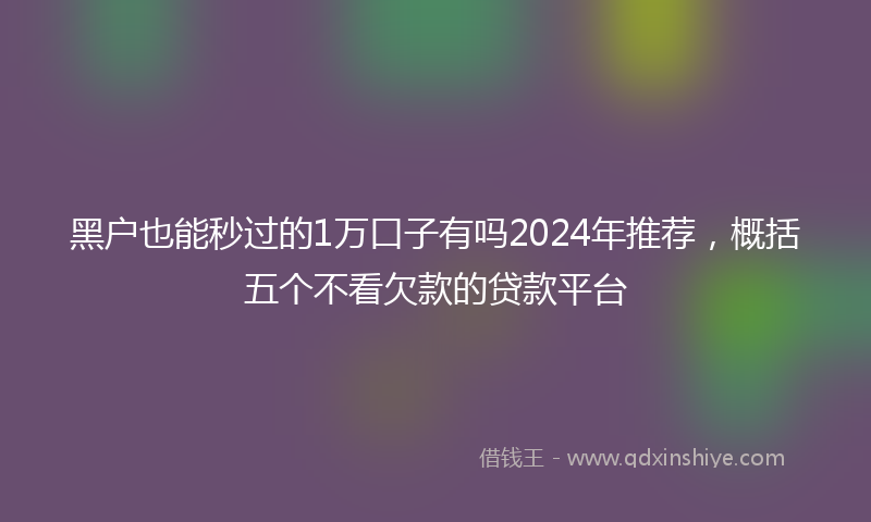 黑户也能秒过的1万口子有吗2024年推荐，概括五个不看欠款的贷款平台