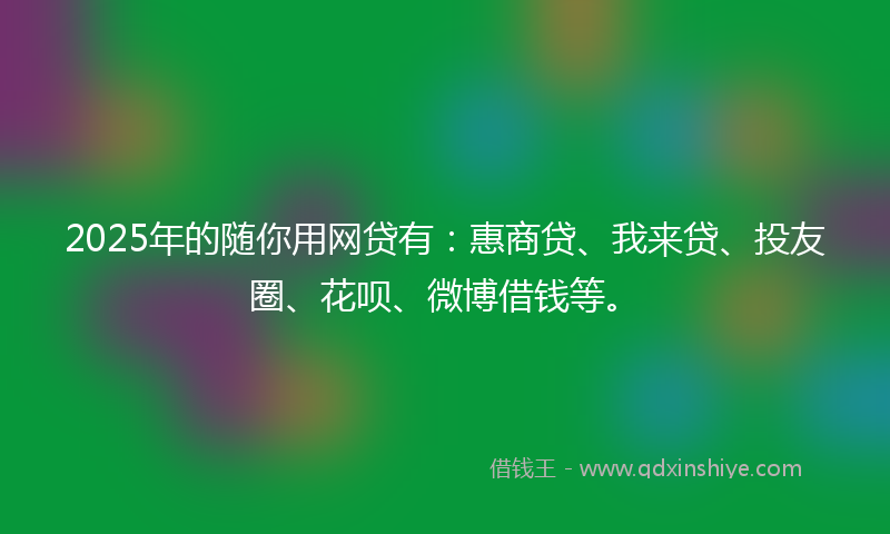 2025年的随你用网贷有：惠商贷、我来贷、投友圈、花呗、微博借钱等。