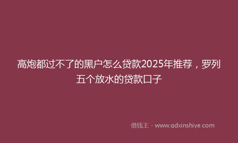 高炮都过不了的黑户怎么贷款2025年推荐，罗列五个放水的贷款口子