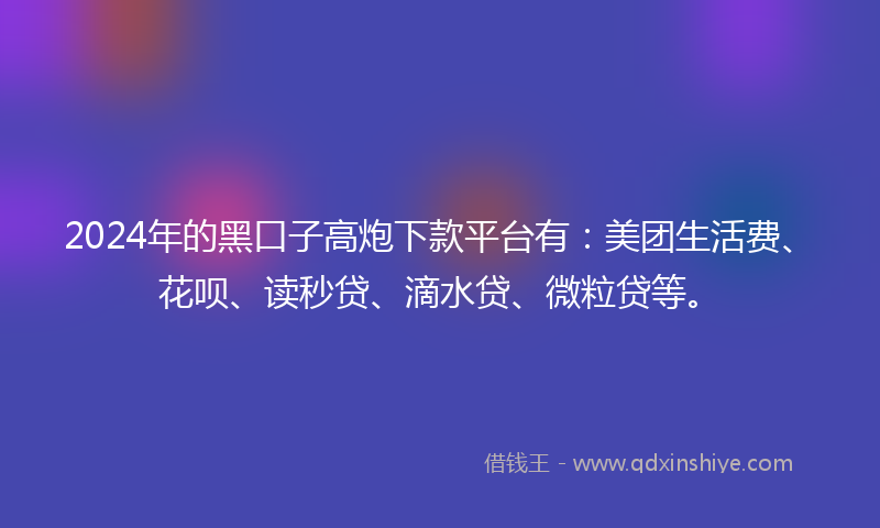 2024年的黑口子高炮下款平台有：美团生活费、花呗、读秒贷、滴水贷、微粒贷等。