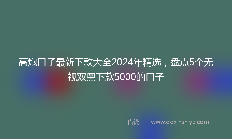 高炮口子最新下款大全2024年精选，盘点5个无视双黑下款5000的口子