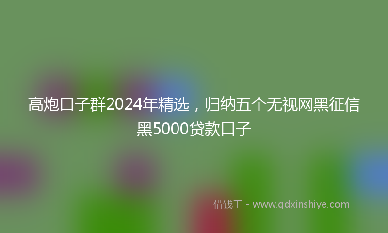 高炮口子群2024年精选，归纳五个无视网黑征信黑5000贷款口子