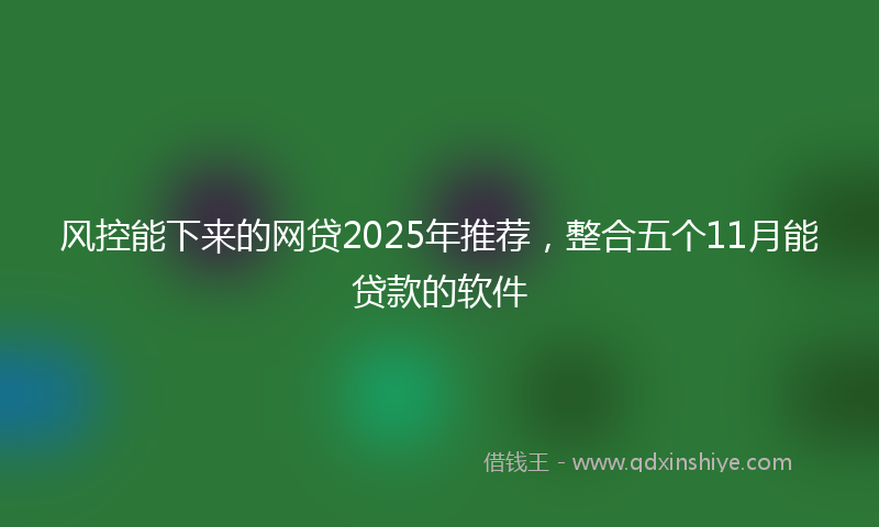 风控能下来的网贷2025年推荐，整合五个11月能贷款的软件