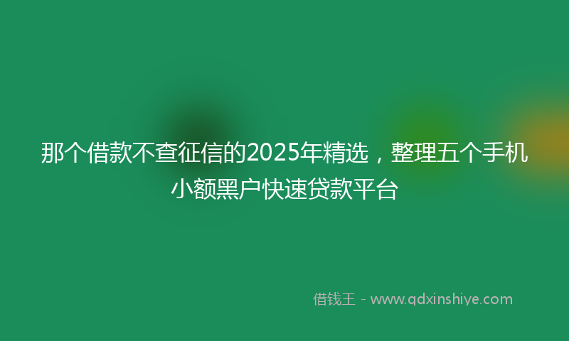 那个借款不查征信的2025年精选，整理五个手机小额黑户快速贷款平台